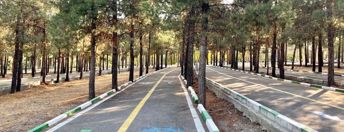 Sorkhe Hesar Bike Trail | پیست دوچرخه‌سواری سرخه حصار is one of Parisa'nın Beğendiği Mekanlar.
