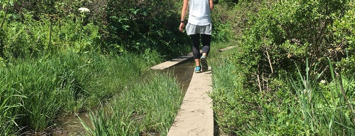 Pomo Canyon Trail is one of Lugares favoritos de Edmund.