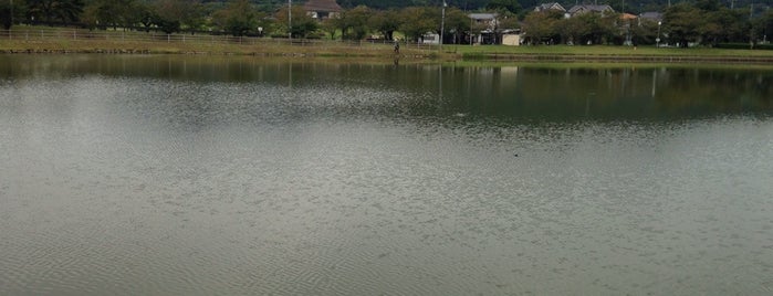 大池公園 is one of 茨城県 / Ibaraki.