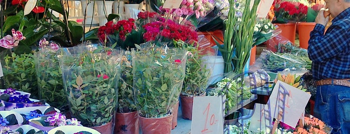 Carmel Market is one of Israel.