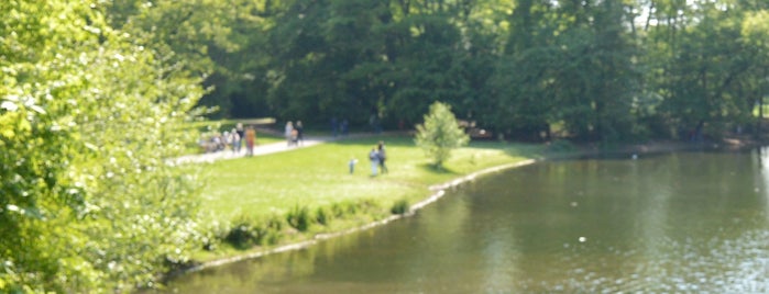 Stadtwald is one of Best sport places in Düsseldorf.