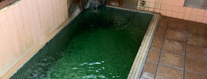 野沢温泉 滝の湯 is one of Hot spring.