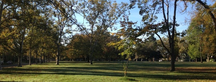 Curtis Park is one of Lugares favoritos de Ross.
