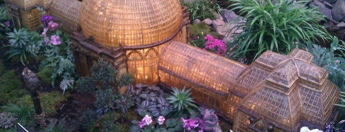 New York Botanical Garden is one of NYC Bucketlist.