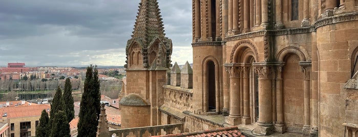 Ieronimus is one of Salamanca: nuestros sitios.