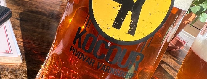 Pivovar Kocour is one of Prague restaurants with large selection of beers.