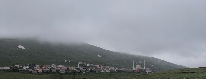 Kazıkbeli Yaylası is one of Yaylası.