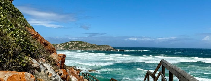 Robberg Nature Reserve & Seal Colony is one of Capetown.