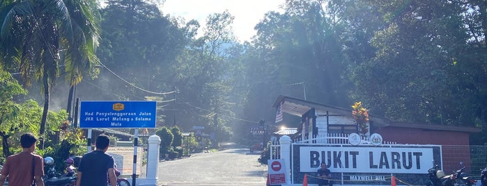 Bukit Larut is one of Taiping Excursion.
