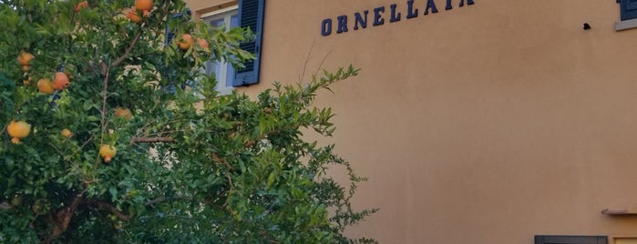 Tenuta Ornellaia is one of Toskana.