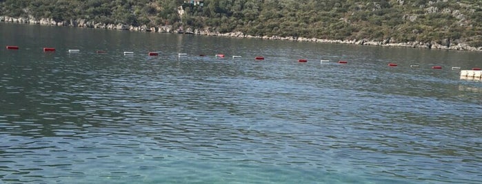 Olympos Mocamp Beach Club is one of Yasemin Arzu'nun Kaydettiği Mekanlar.