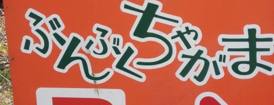 ぶんぶくちゃがま 本店 is one of 愛媛のお洒落カフェ.
