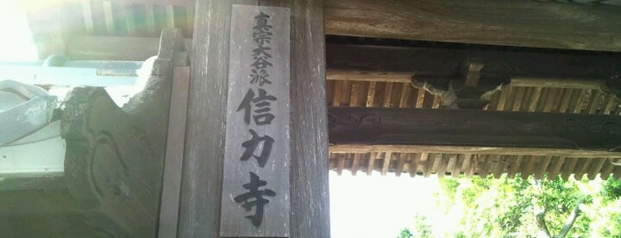 信力寺 is one of この辺の神社とか寺院とか.