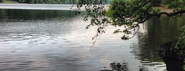 Coniston Water is one of Tempat yang Disukai Carl.