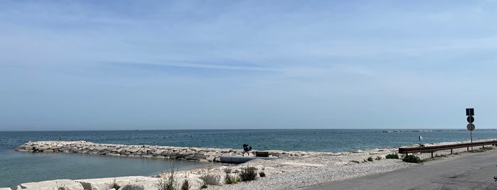 Spiaggia Libera Sassonia is one of Marche.