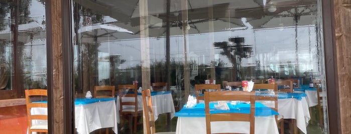 Ristorante Marina 70 is one of Po Delta/Mare.