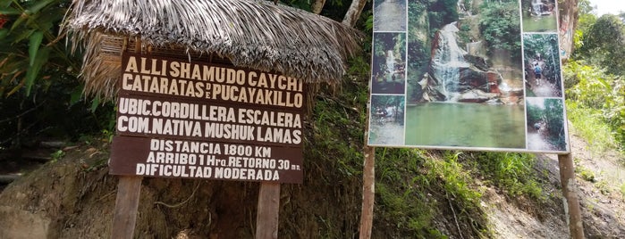 Cataratas de Pucayaquillo is one of Tarapoto.