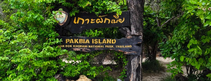 Koh Pak Bia is one of Krabi, Thailand 🇹🇭.