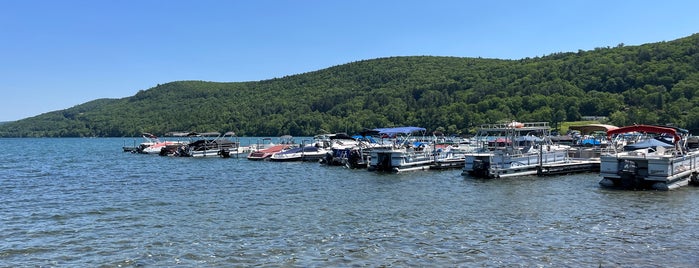 Otsego Lake is one of Push-Pin 2 the Map <3.