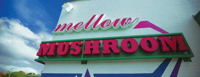 Mellow Mushroom is one of Favorites in Bowling Green.