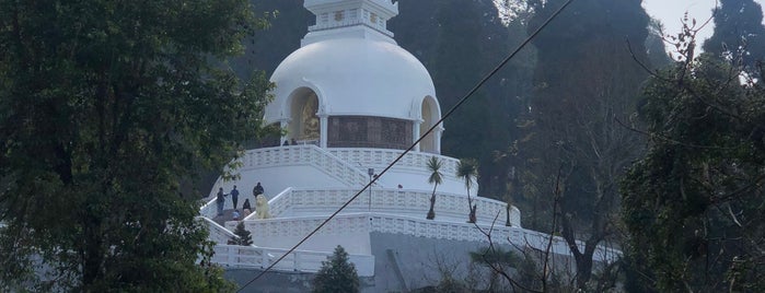 Japanese Peace Pagoda is one of Roaming about India.