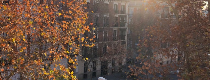 Hotel Petit Palace Lealtad Plaza is one of Madrid.