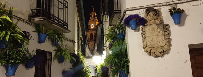 La Calleja De Las Flores is one of Spain Trip.