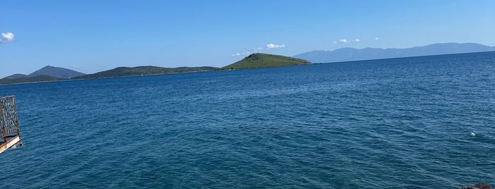 Ortakent Marina is one of Ege & Akdeniz.