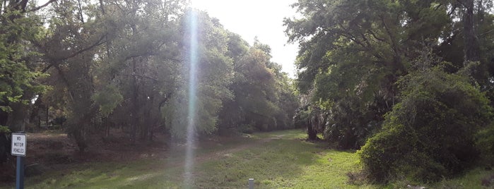 Seminole-Wekiva Trail: Markham Trailhead is one of Lugares favoritos de Theo.