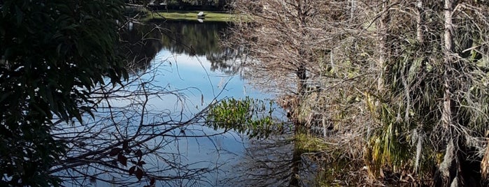 Lake Estelle Park is one of Orlando 🏊 Lakes & Parks 🌿.