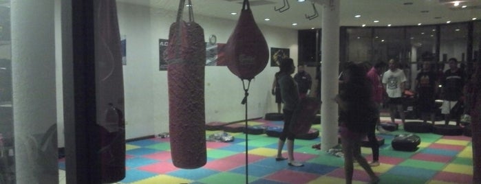 A.D.A.M. Pachuca MMA Training is one of Ho.