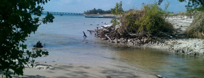 Virginia Key Beach Park is one of E's Saved Places.