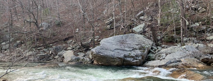 North Chickamauga Creek Segment of Cumberland Trail is one of Chattanooga.