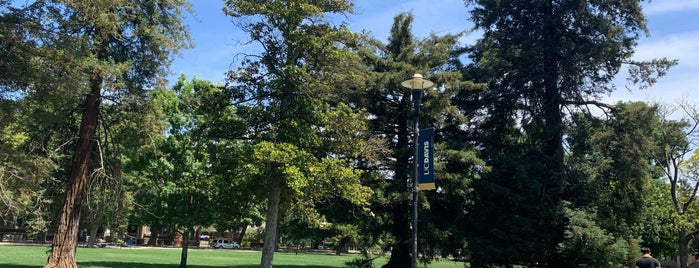 The Quad is one of UC Davis Self-Guided Walking Tour.