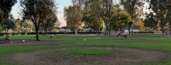 Baldy View Dog Park is one of outdoor.