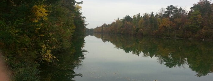 Ontario Hiking Trail is one of Day Hikes In Rochester, NY.