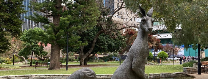 Kangaroos on the Terrace is one of Perth.