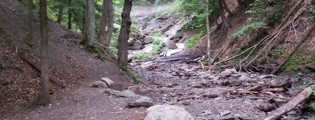 Tinker's Falls Park is one of Off-Campus Activities.