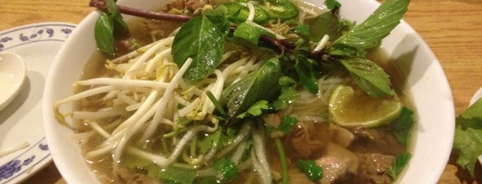 Pho Thaison is one of The 7 Best Places for Veggie Spring Rolls in Austin.