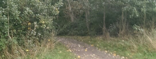 Tooting Graveney Common is one of Locais curtidos por Ralph.