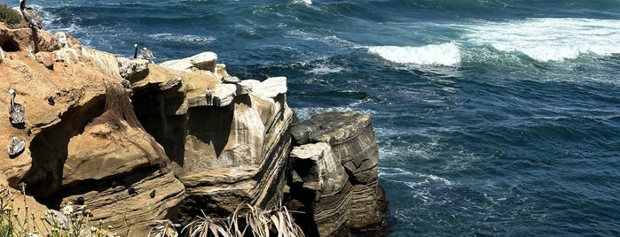 Seal Rocks is one of Cali Road Trip.