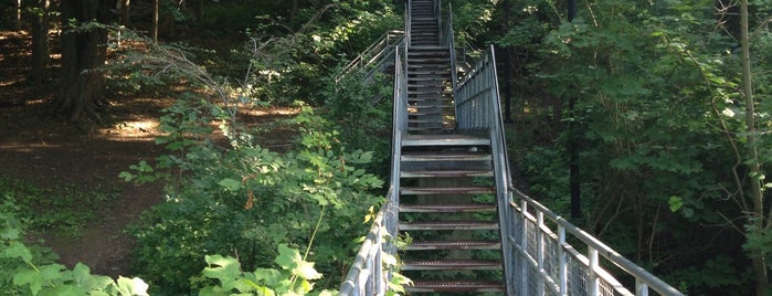 Chedoke Radial Trail @ Dundurn St is one of Lugares favoritos de Karla.