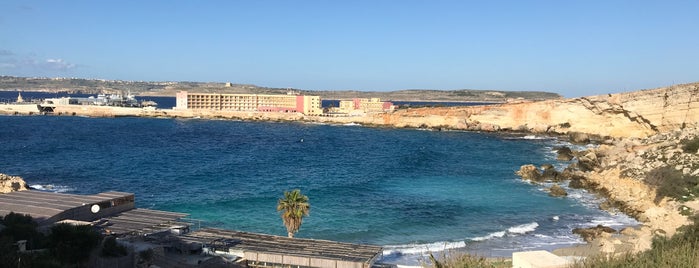 Paradise Bay Lido is one of Malta's To-Do List.