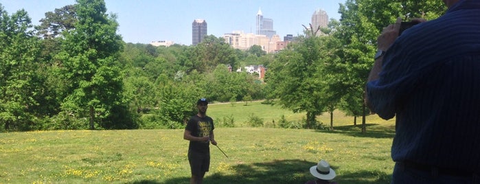 Dorothea Dix Park is one of Best of Raleigh.