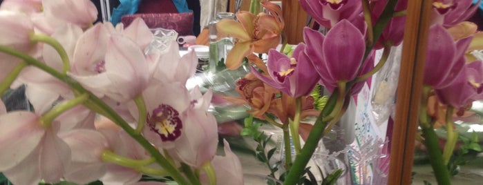 Ambrosia Designer Florist is one of Gift Ideas.