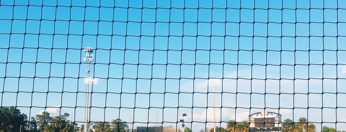 Jay Bergman Field is one of Stadiums.