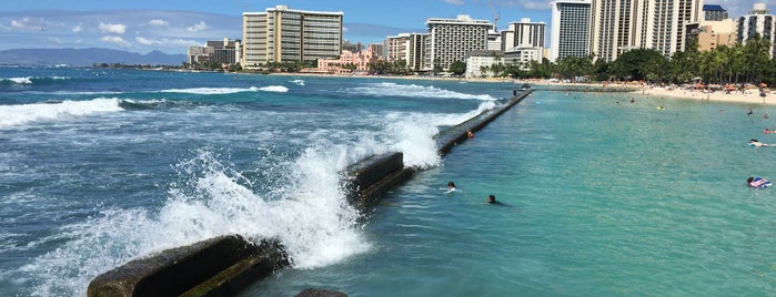 Waikiki Beach Walls is one of Lieux qui ont plu à Jan.