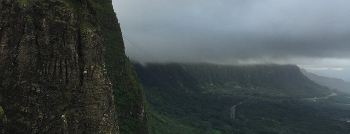 Nuʻuanu Pali Lookout is one of Janさんのお気に入りスポット.