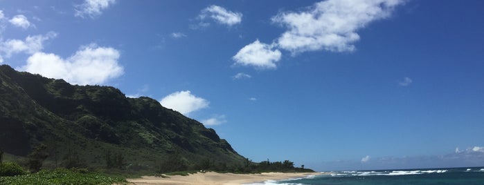 Mokuleia Beach is one of Janさんのお気に入りスポット.