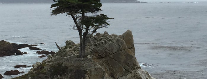 17 Mile Drive is one of Janさんのお気に入りスポット.